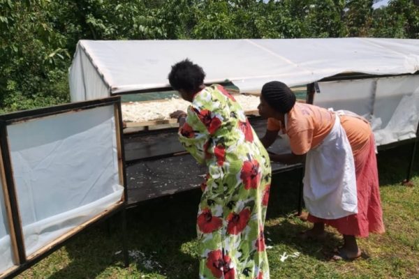 solar dryer